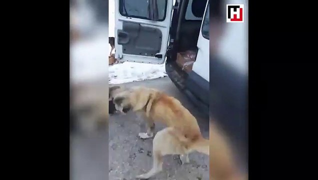 'Helal olsun size' dedirten görüntüler!