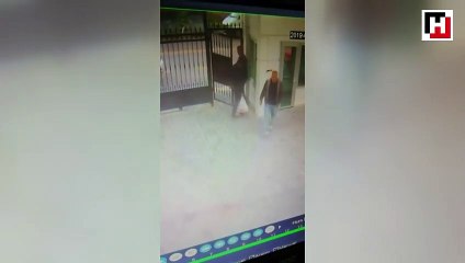 Ankara'daki köpek katliamı görüntüleri ortaya çıktı