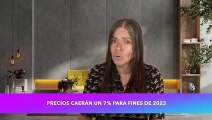  2da MAYOR CAÍDA DE PRECIOS Desde La GRAN DEPRESIÓN ¿Qué dicen los expertos? 