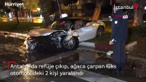 Antalya'da refüje çıkıp, ağaca çarpan lüks otomobildeki 2 kişi yaralandı