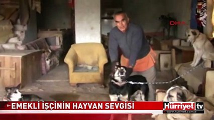 EMEKLİ İŞÇİNİN HAYVAN SEVGİSİ HERKESİ ŞAŞIRTTI