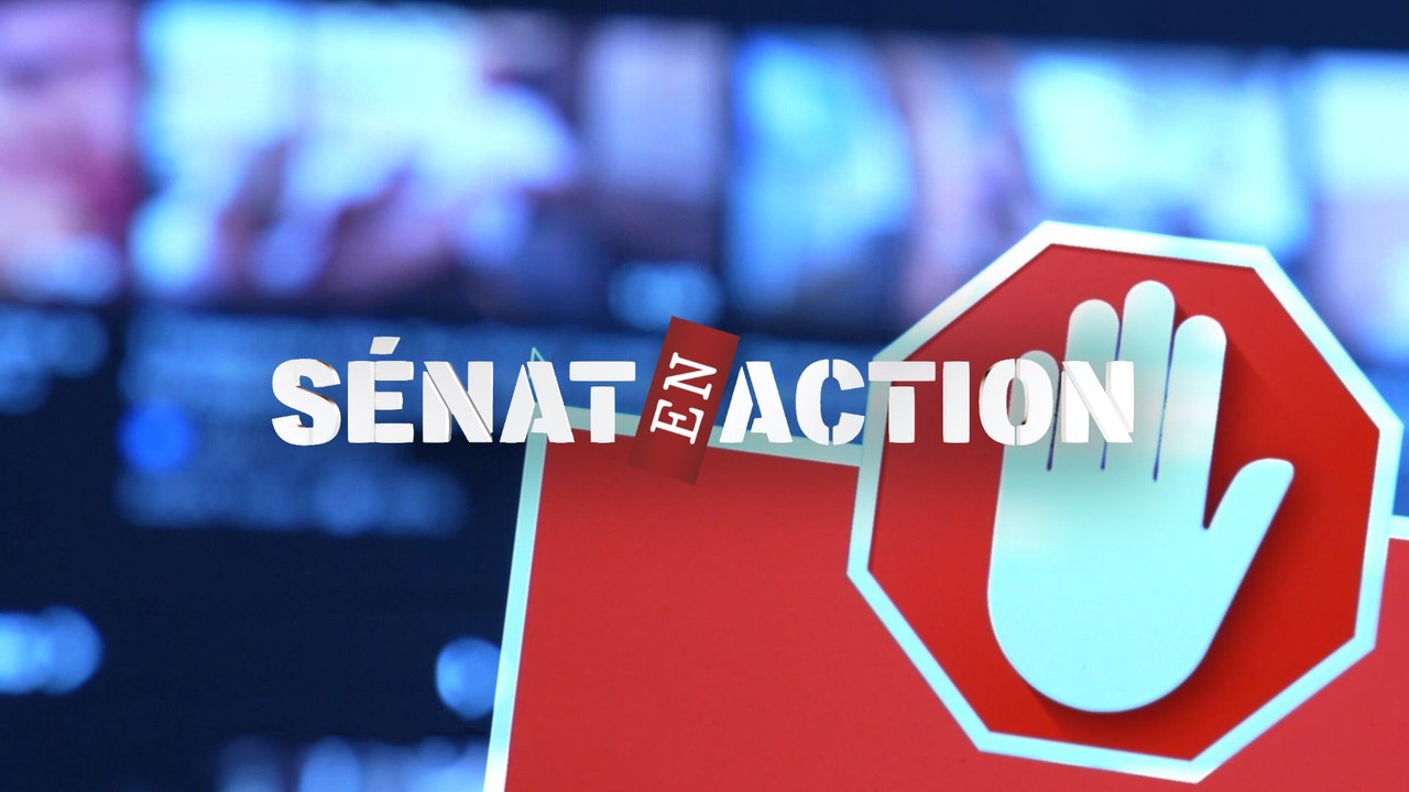 Porno, un monde violent - Sénat en action - Public Sénat