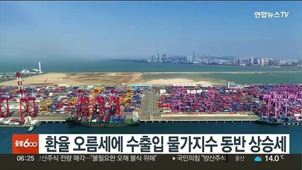 환율 오름세에 수출입물가지수 동반 상승