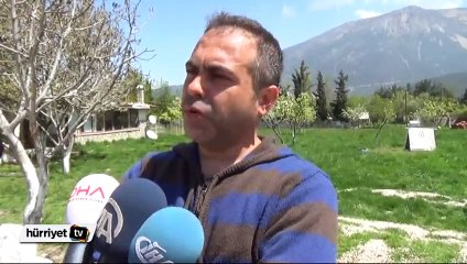 Astımlı annesi için eşek çiftliği kurdu