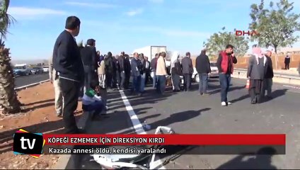 Köpeği ezmemek için direksiyon kırdı, annesi öldü
