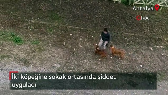 Vicdanları sızlatan anlar! İki köpeğini sokak ortasında sopayla dövdü