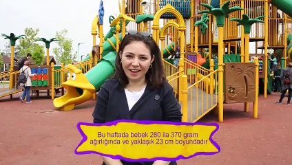 Hamilelikte 21. Hafta - 2 Kere Anne