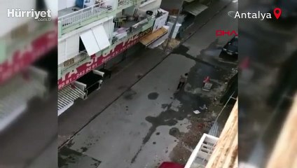 Eski kız arkadaşının evlendiğini öğrenince arabaların camını kırdı