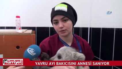 Yavru ayı bakıcısını annesi sanıyor