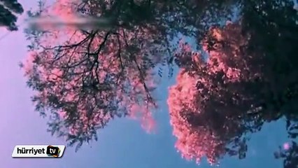 Çığlıklar her yeri inletti