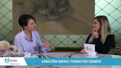 Gebeliğin birinci trimester dönemi | Anneler Öğreniyor