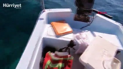 Çekim yaparken balon balığı parmağını koparıyordu