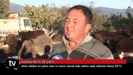 Eşek sütünün kilosu 80 liraya çıktı