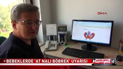 PROF. DR. ANNE VE BABALARI UYARDI