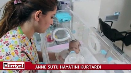 Hayatını kaybeden annesinin sütüyle yaşama tutundu