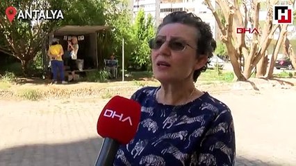 Kedi evine dönüştürülen karavan, siteyi karıştırdı