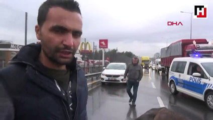 Kazada yaralanan atların yürek burkan görüntüsü