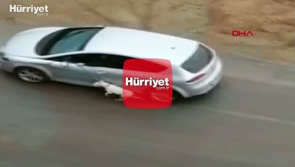 Antalya'da tepki çeken görüntü! İşkence eder gibi gezdirdi