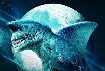 Shark Side of The Moon Movie