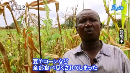 サンデーモーニング 風をよむ「試されるグローバリズム」 20200405