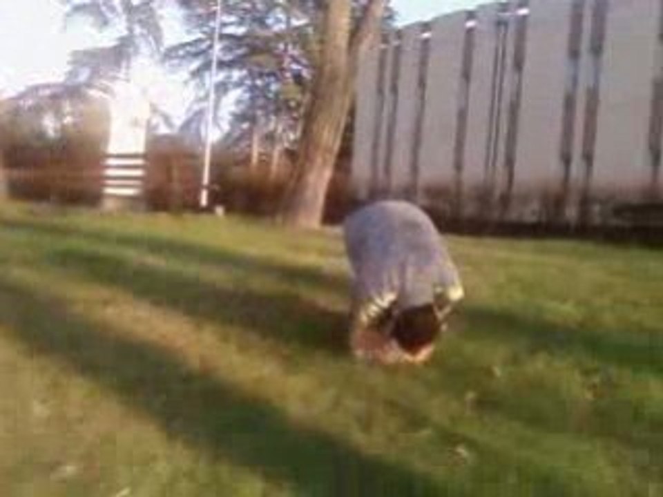 Video027