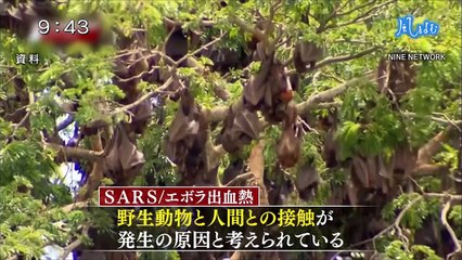 サンデーモーニング 風をよむ「ウィルス・細菌と人類」 20200209