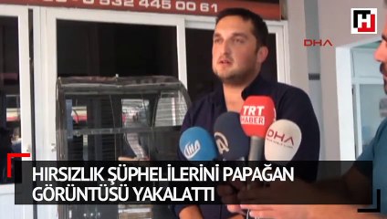 Hırsızlık şüphelilerini papağan görüntüsü yakalattı
