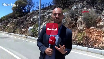 Aydınlatma direğinden çıkan yangın, villalara 15 metre kala söndürüldü