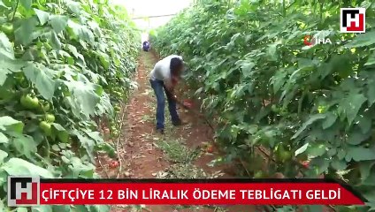 7 yıl önce trafikten çektirdiği motosikleti için 12 bin liralık ödeme tebligatı geldi