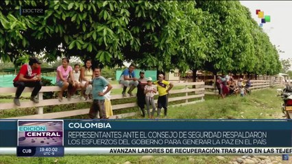 Autoridades presentaron ante la ONU informe sobre verificación de acuerdos de paz en Colombia