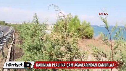 Kadınlar plajı, çam ağaçlarıyla kamufle ediliyor