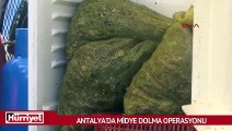 Antalya'da midye dolma operasyonu