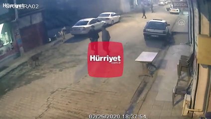 Sokak köpeklerinin saldırısından park halindeki aracın üzerine çıkarak kurtuldu