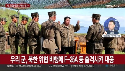 북, 군용기 위협 비행 이어 평양서 SRBM 또 발사