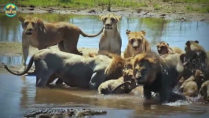 Top 25 Moments When Rivals Became Extremely Angry