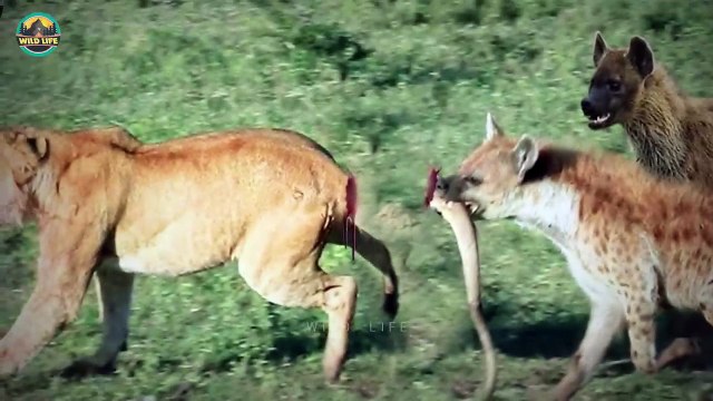 Prey Changing The Rules On Predator