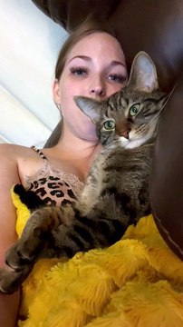 Cuddling Cat Puts Its Paws Up