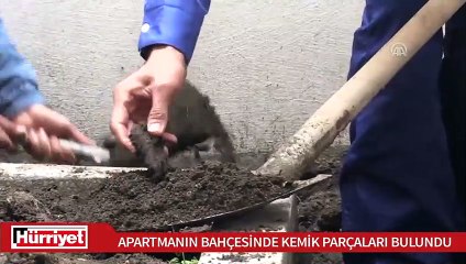 Apartmanın bahçesinde kemik parçaları bulundu