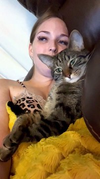 Cuddling Cat Puts Its Paws Up