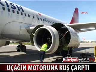 UÇAĞIN MOTORUNA KUŞ ÇARPTI