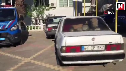 Çaldıkları büyükbaş hayvanları otomobille kaçırırken yakalandılar