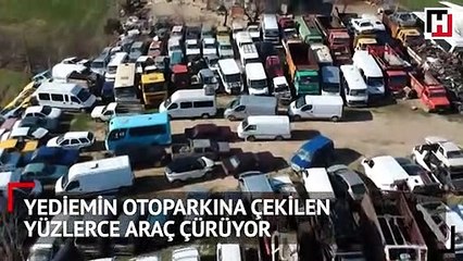 Yediemin otoparkına çekilen yüzlerce araç çürüyor