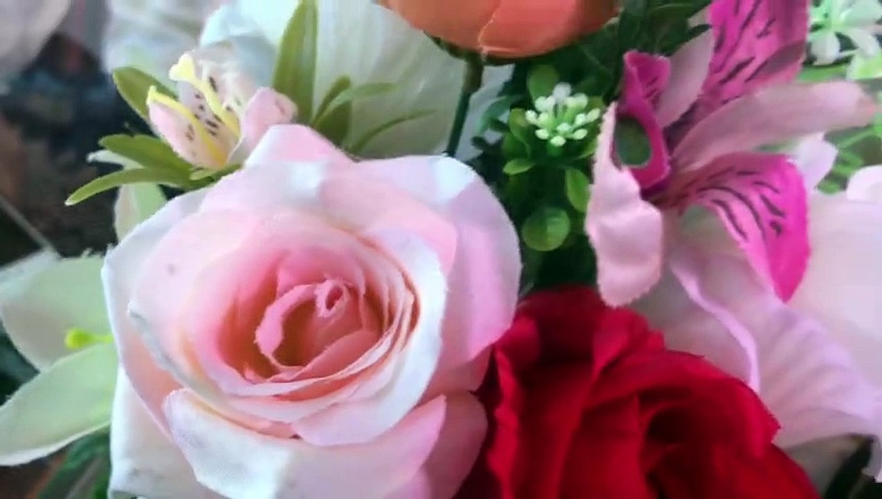 VID_20221004_174959_759