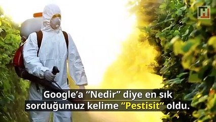 2017'de Google'da en çok ne aradık?