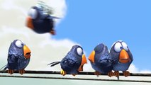 Drôles d'oiseaux sur une ligne à haute tension Bande-annonce (EN)