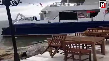 Arabalı vapur karaya oturdu