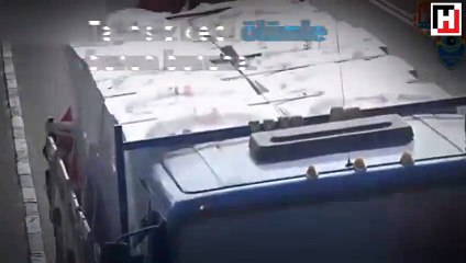 Yavru kediyi ölümden kurtardı