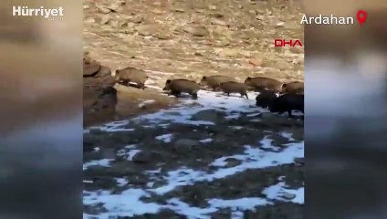 Eksi 25 dereceyi gördü! Ardahan'da soğuk hava etkili oluyor
