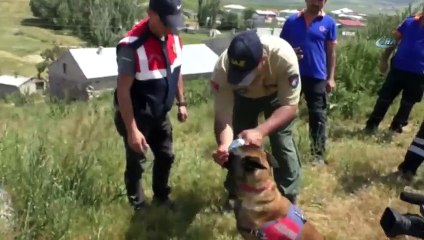 Leyla'yı arama çalışmaları sürüyor