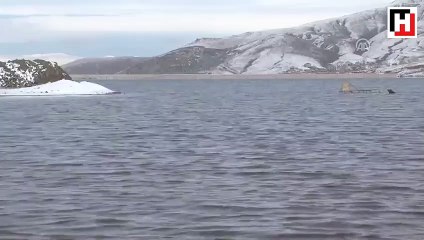 Ürküten görüntü: Mezarlar tek tek ortaya çıktı